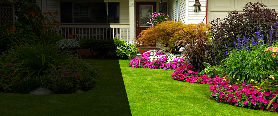 Hollis Landscapers