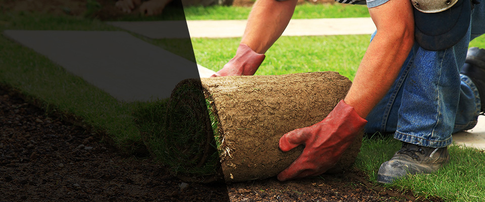 Hollis Landscapers